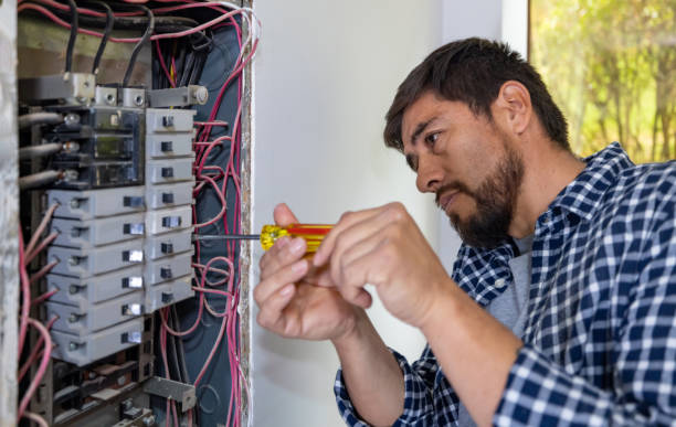 Best Electrical Panel Upgrades  in Mount Gilead, NC